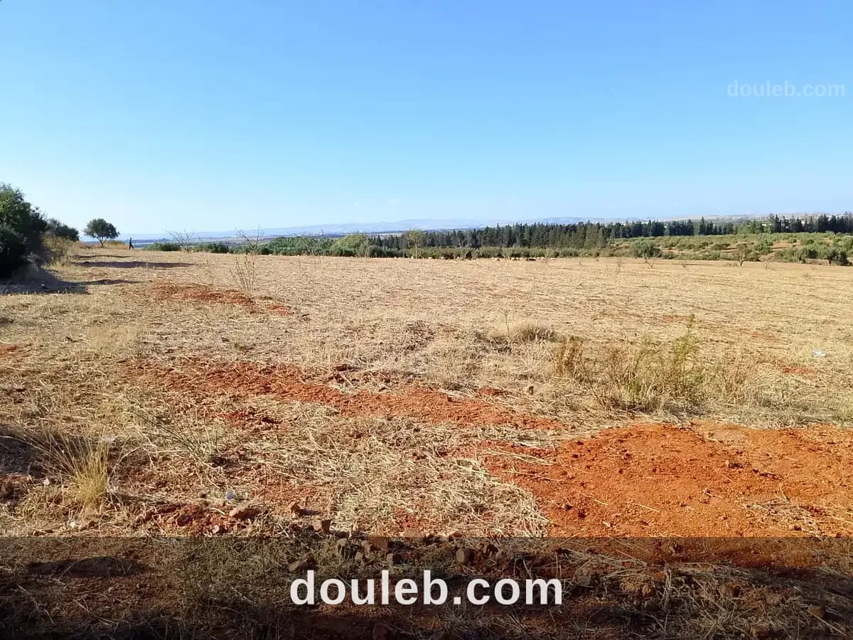 Terrain de 1 hectare à sidi thabet à Ariana