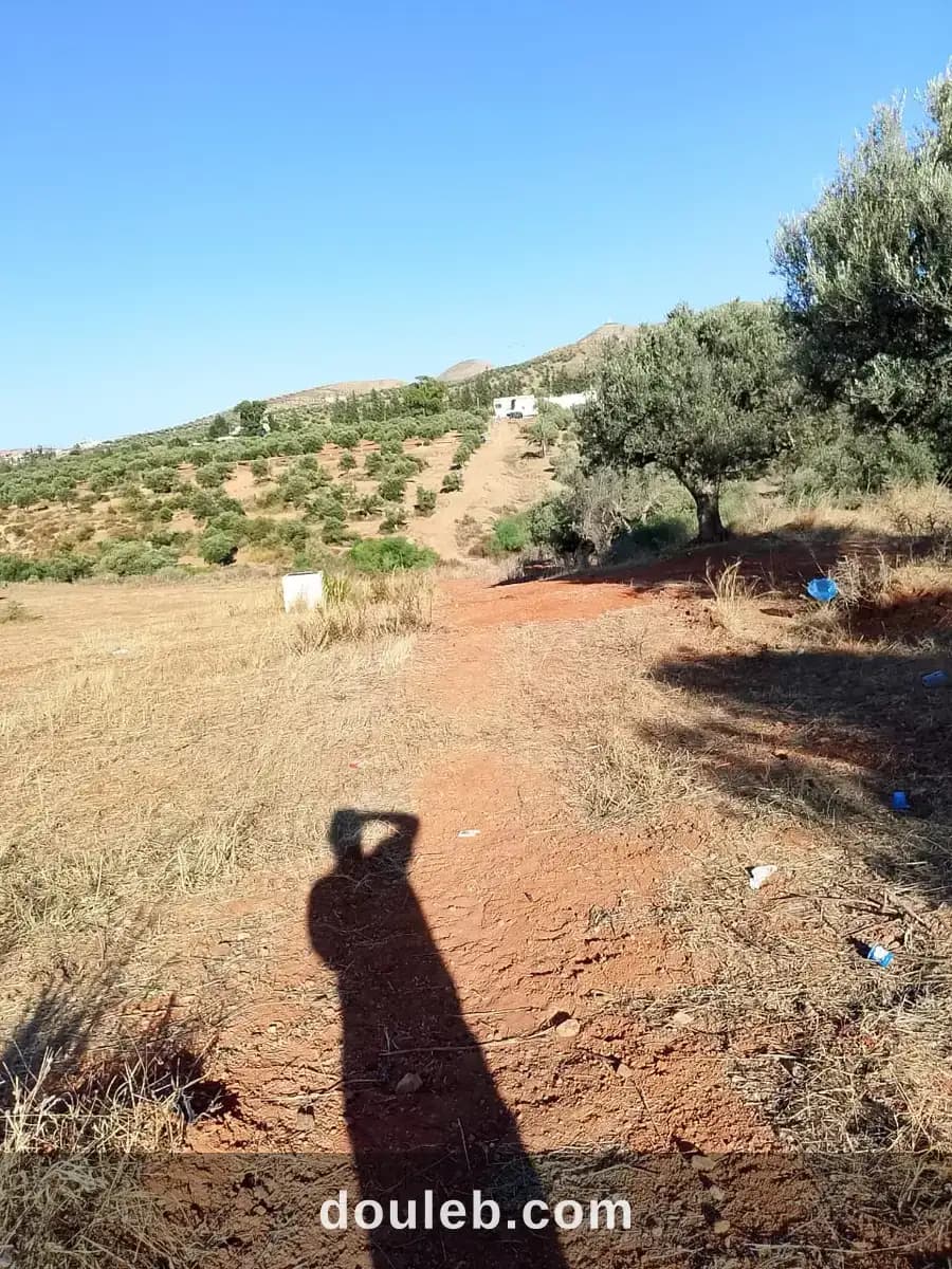 Terrain de 1 hectare à sidi thabet - Miniature 3