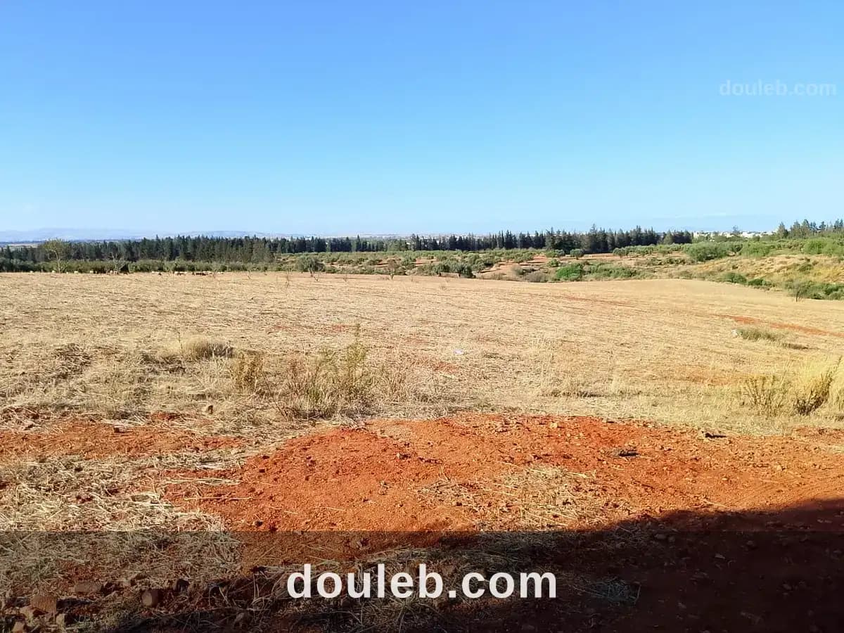 Terrain de 1 hectare à sidi thabet - Miniature 4