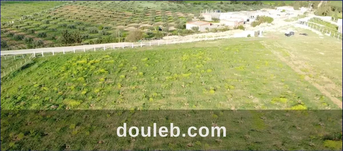Terrain agricole 2 hectares borj el amri à Manouba