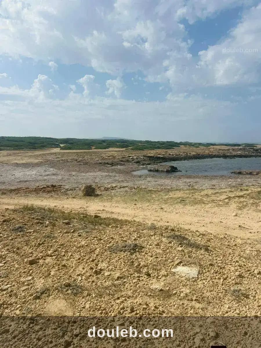 Offre terrain haouaria à Nabeul