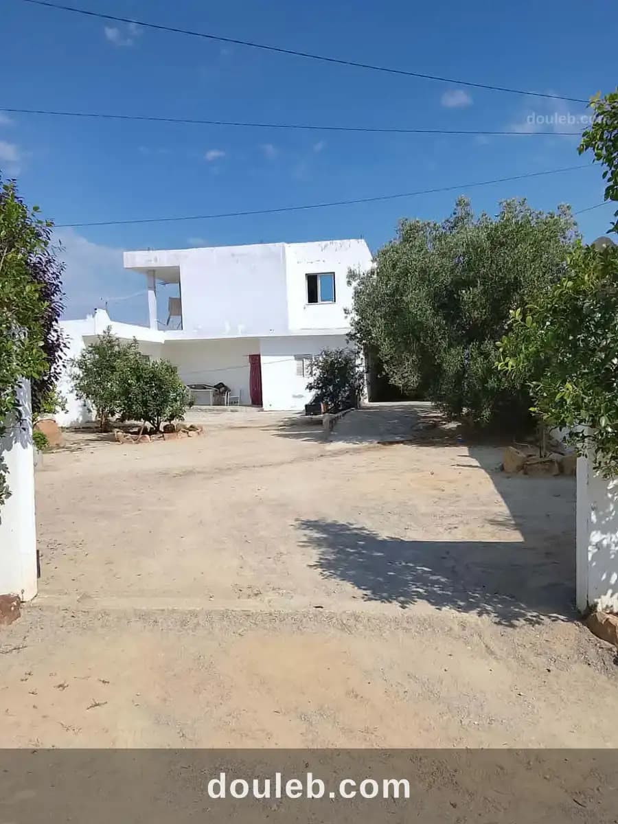 Av 2 maisons de 560m à hammamet à Nabeul