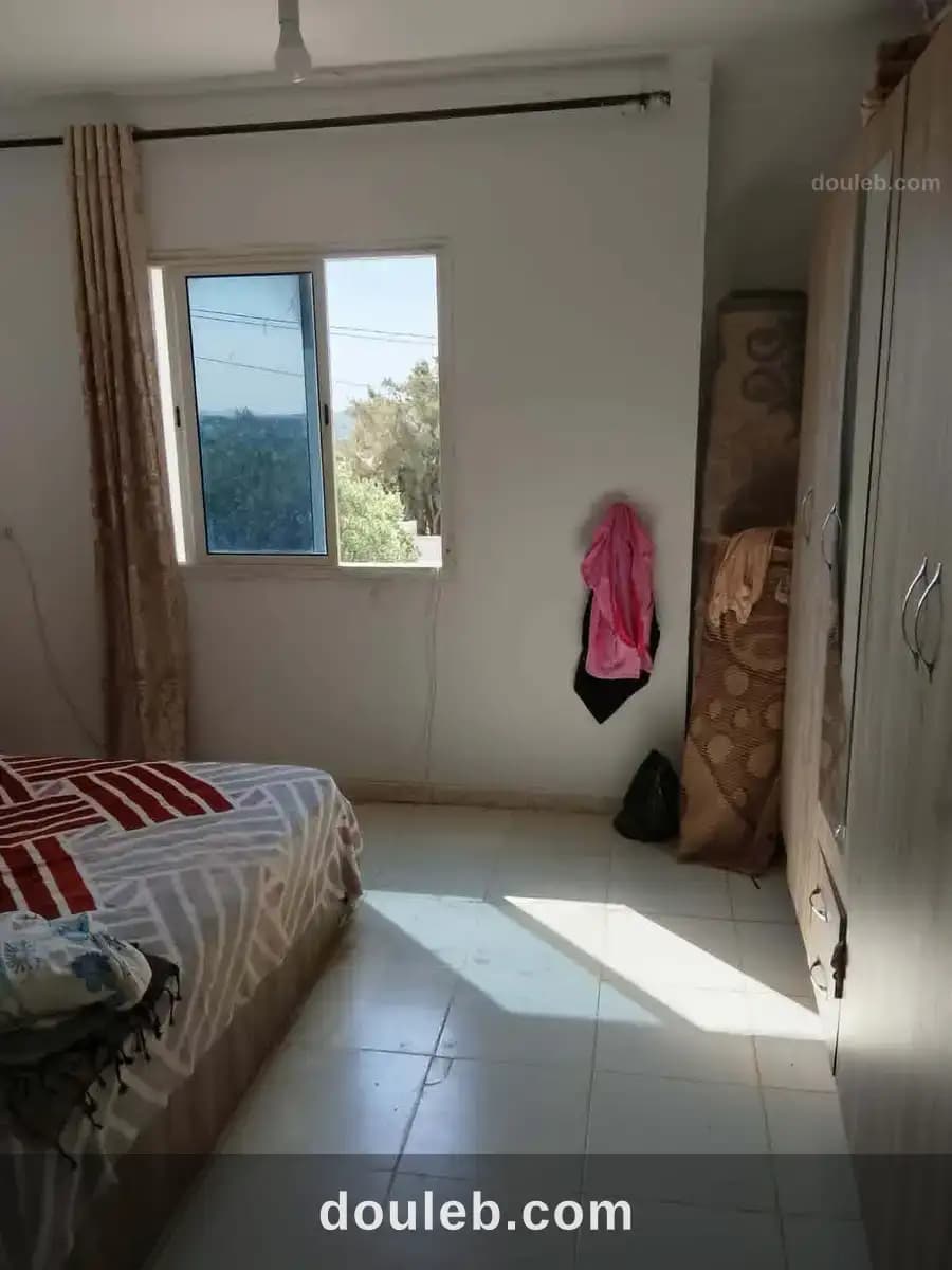 Av 2 maisons de 560m à hammamet - Miniature 3