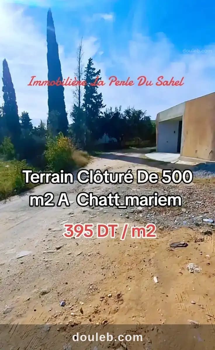 Terrain chatt mariem - Miniature 2