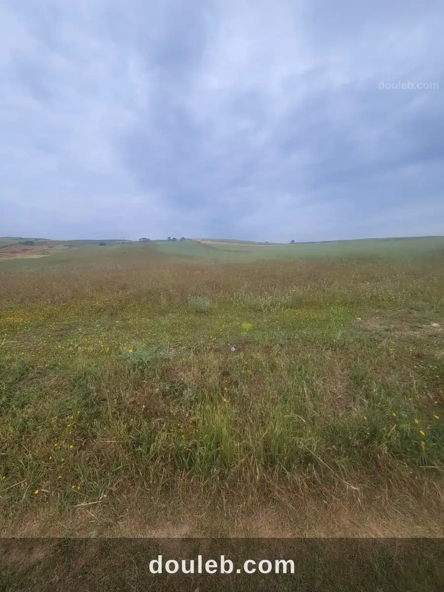 Terrain agricole à bachateur - Miniature 3