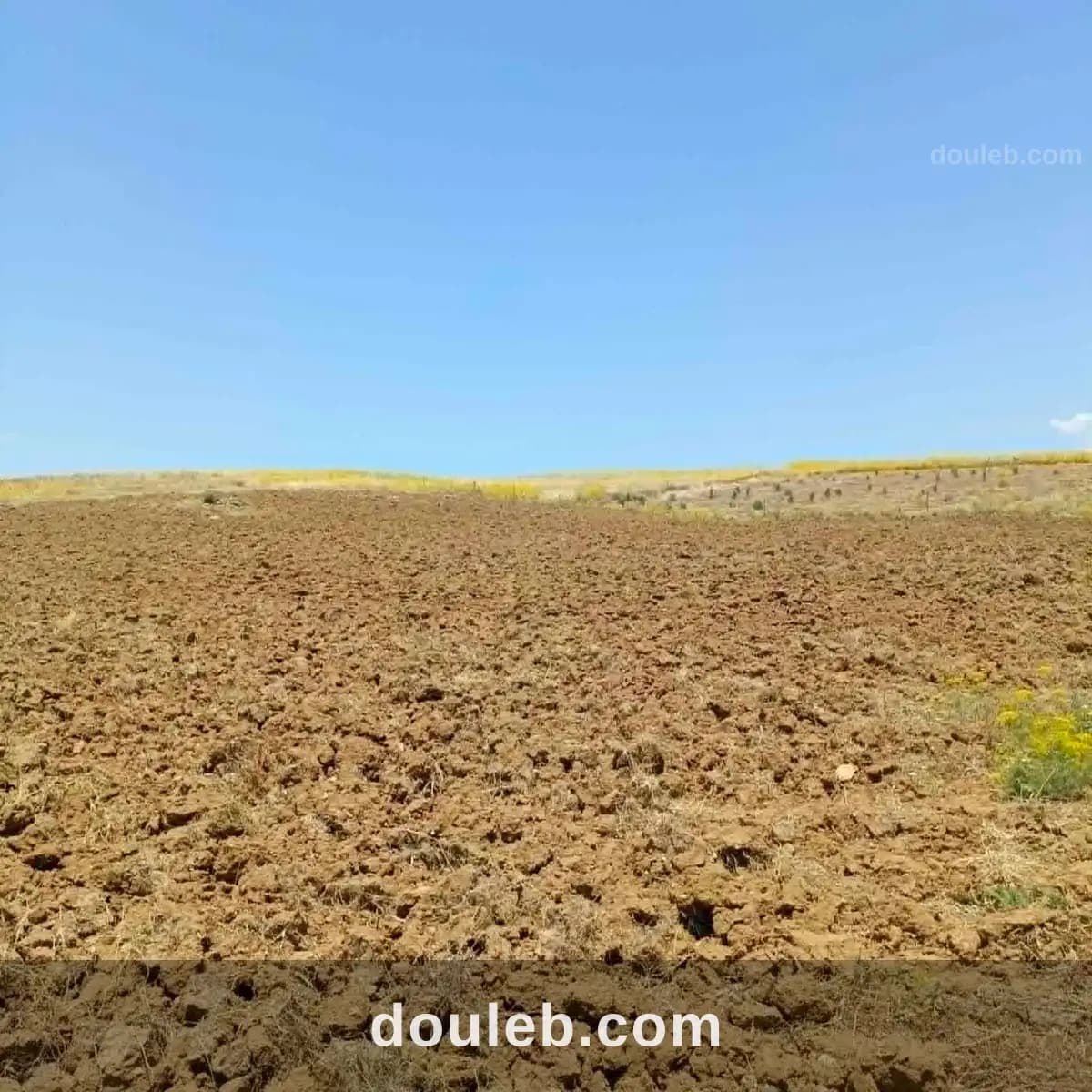 Av 4900m à 68md à hammamet sud à Nabeul