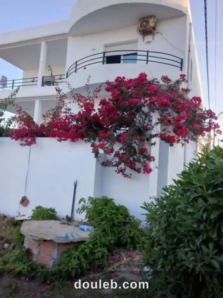 Maison daar alouch - Miniature 4