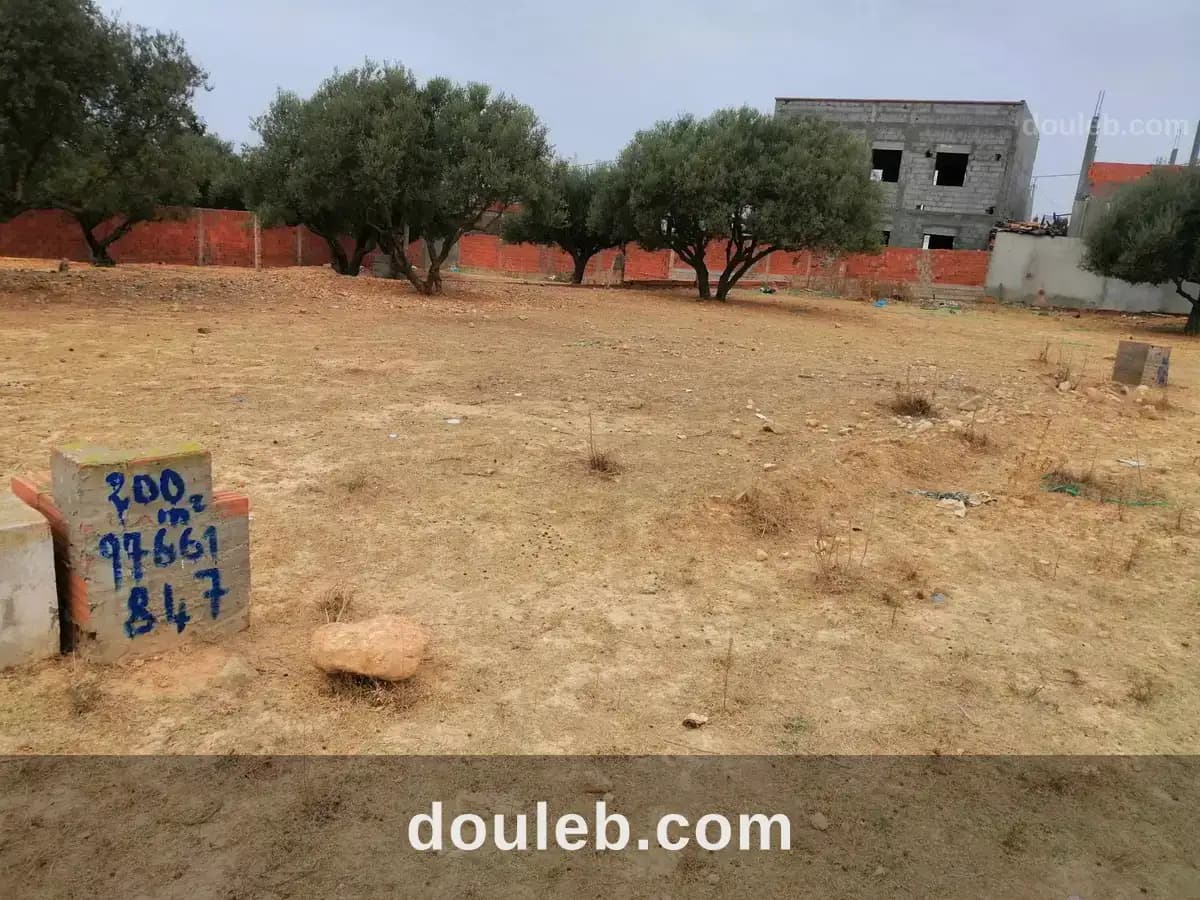 Terrain a oued ellil - Miniature 3