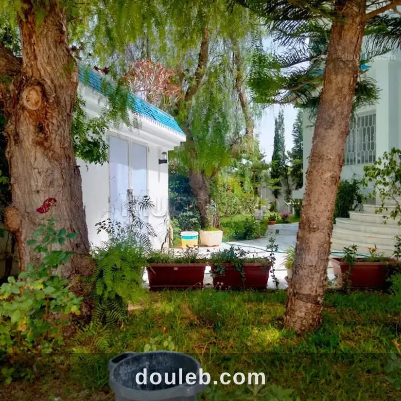 Grande villa commerciale à Tunis