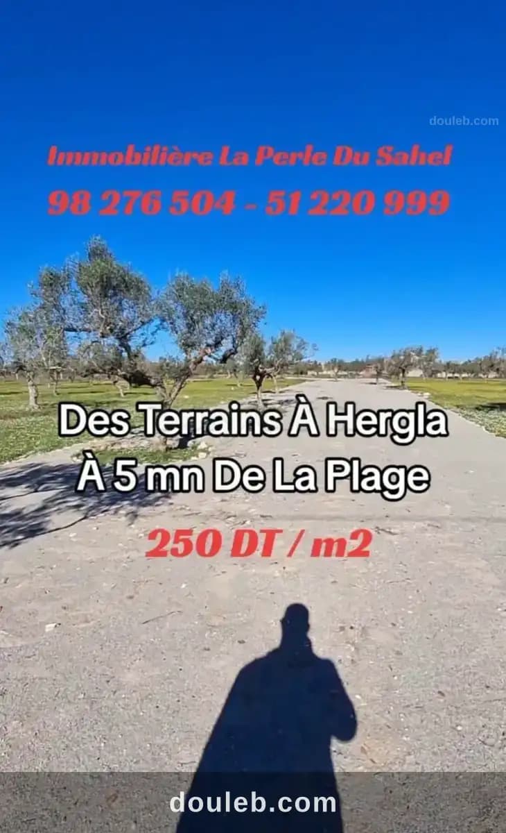 Terrain hergla pres salle bisen à Sousse