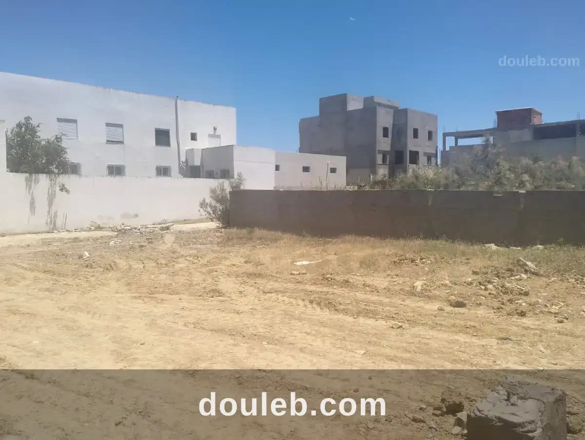 315 titre bleu poste raoued à Ariana