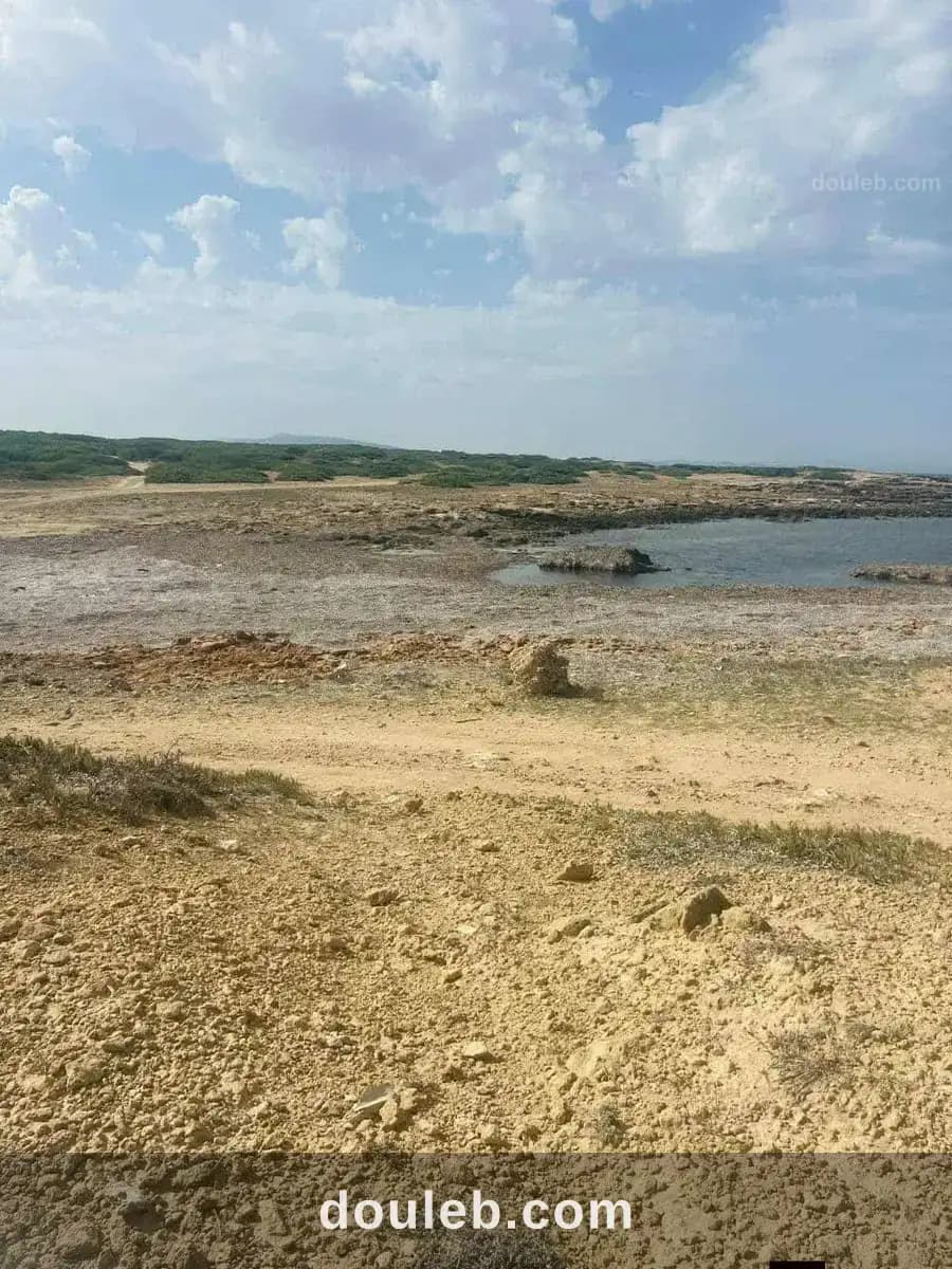 Offre spécial à Nabeul