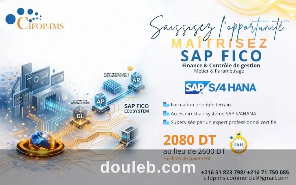 Formation sap fico à Tunis