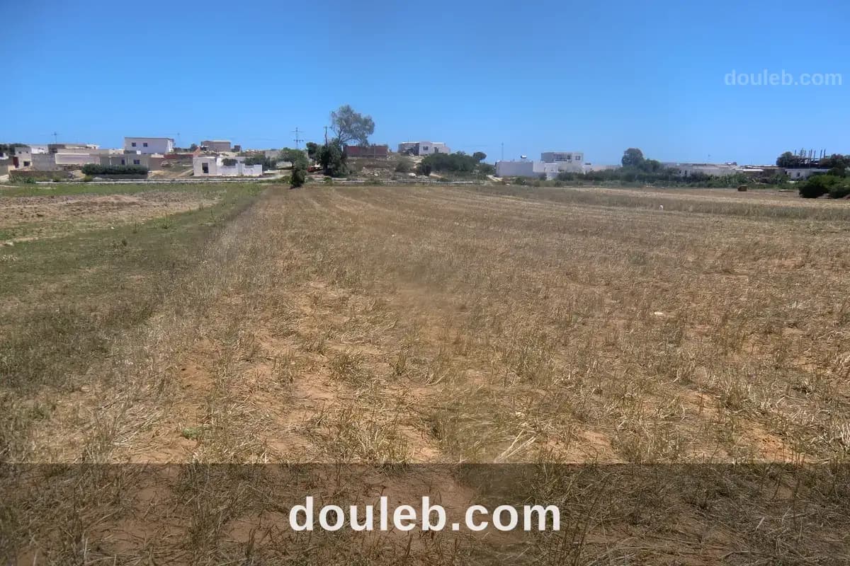 Deux hectars 70m de la route à Nabeul