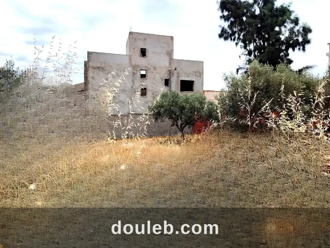 Terrain agricole à Nabeul