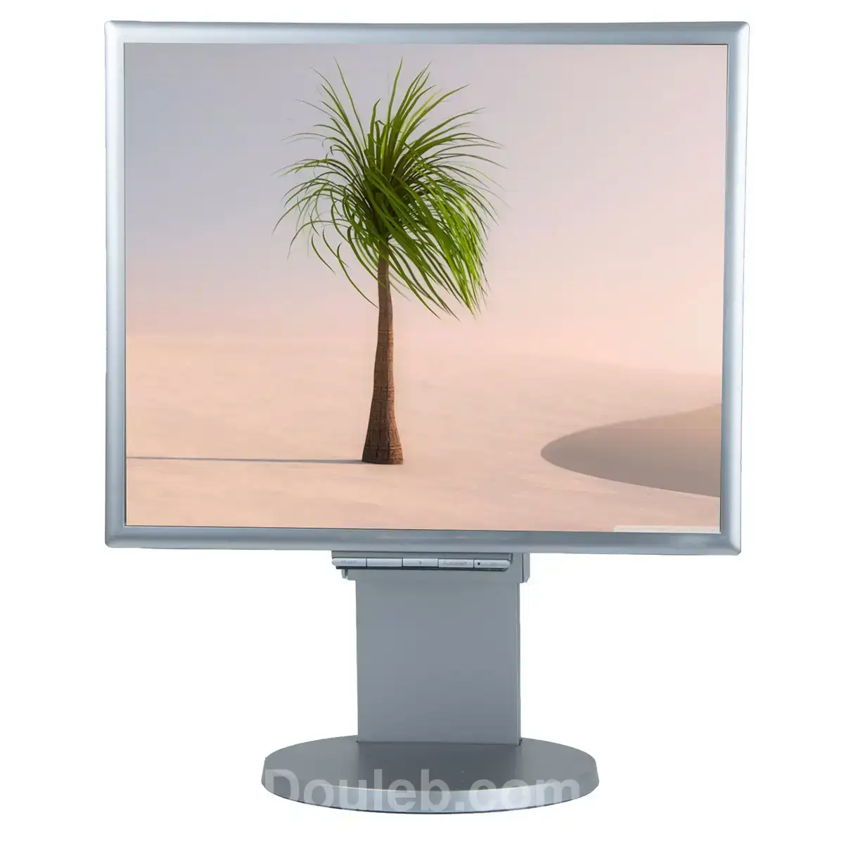 Ecran de ordinateur bureau nec