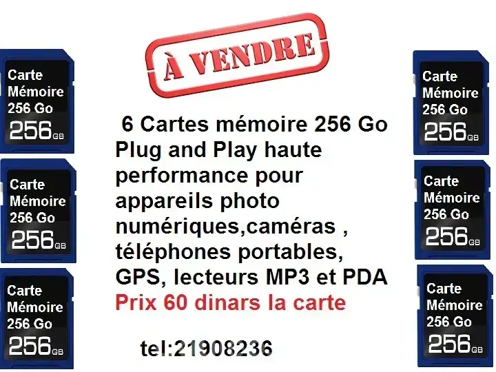 Cartes memoire 256go