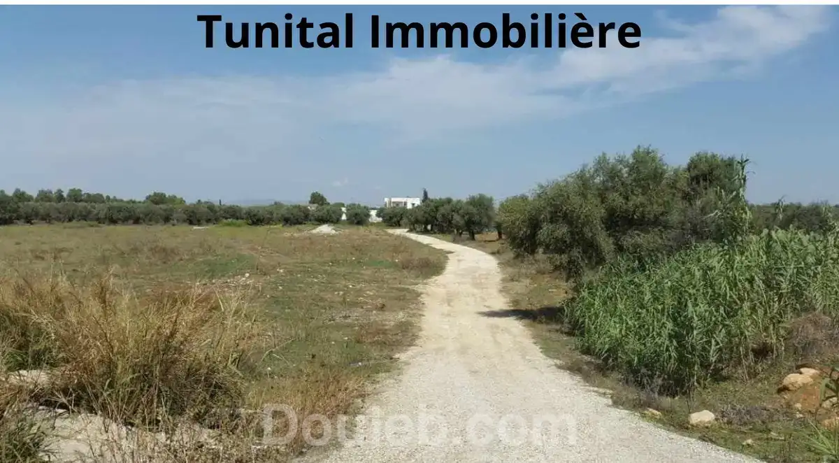 Neuf lots de terrains