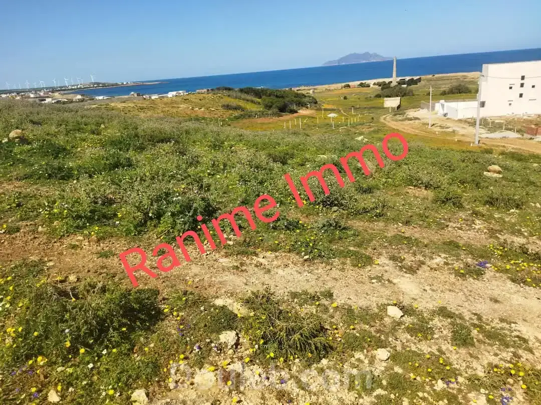 Terrain de 1520m2 a la mer el haouaria